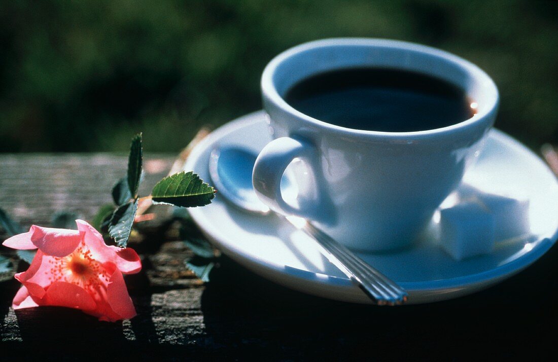 Eine Tasse Kaffee mit einer Wildrose
