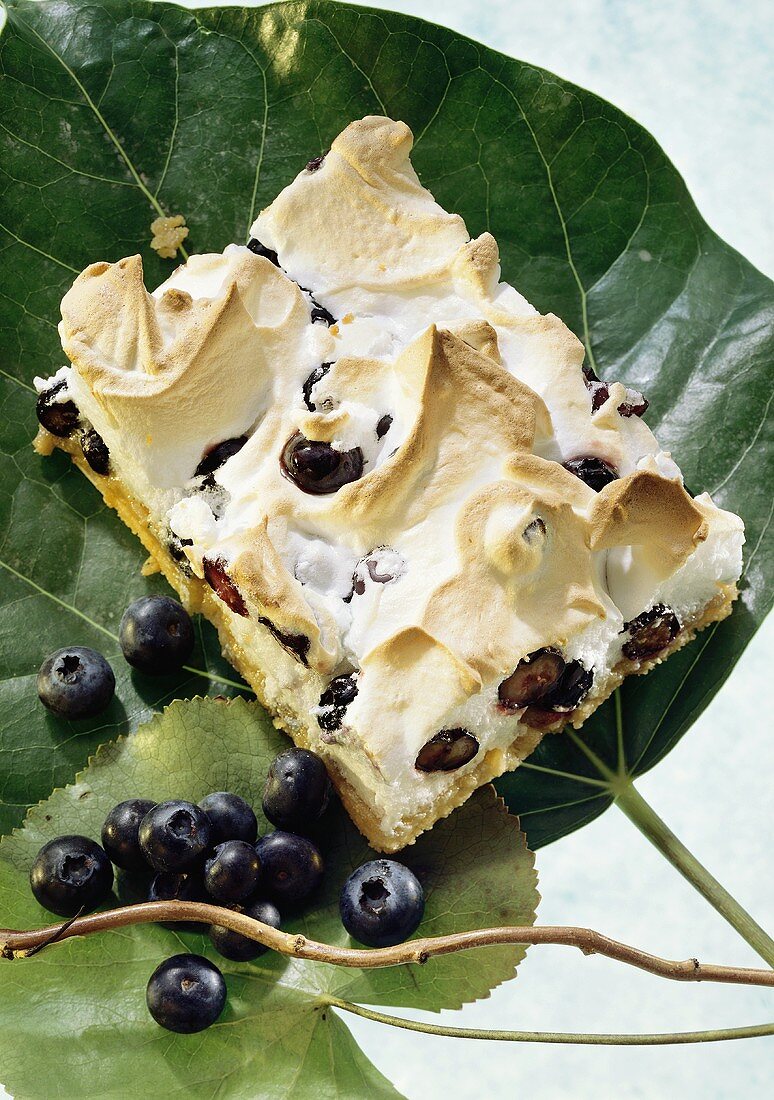 Blueberry meringue cake