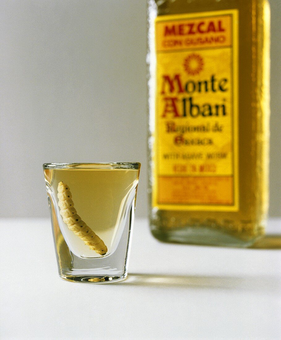 Mezcal in Flasche & Glas mit Wurm