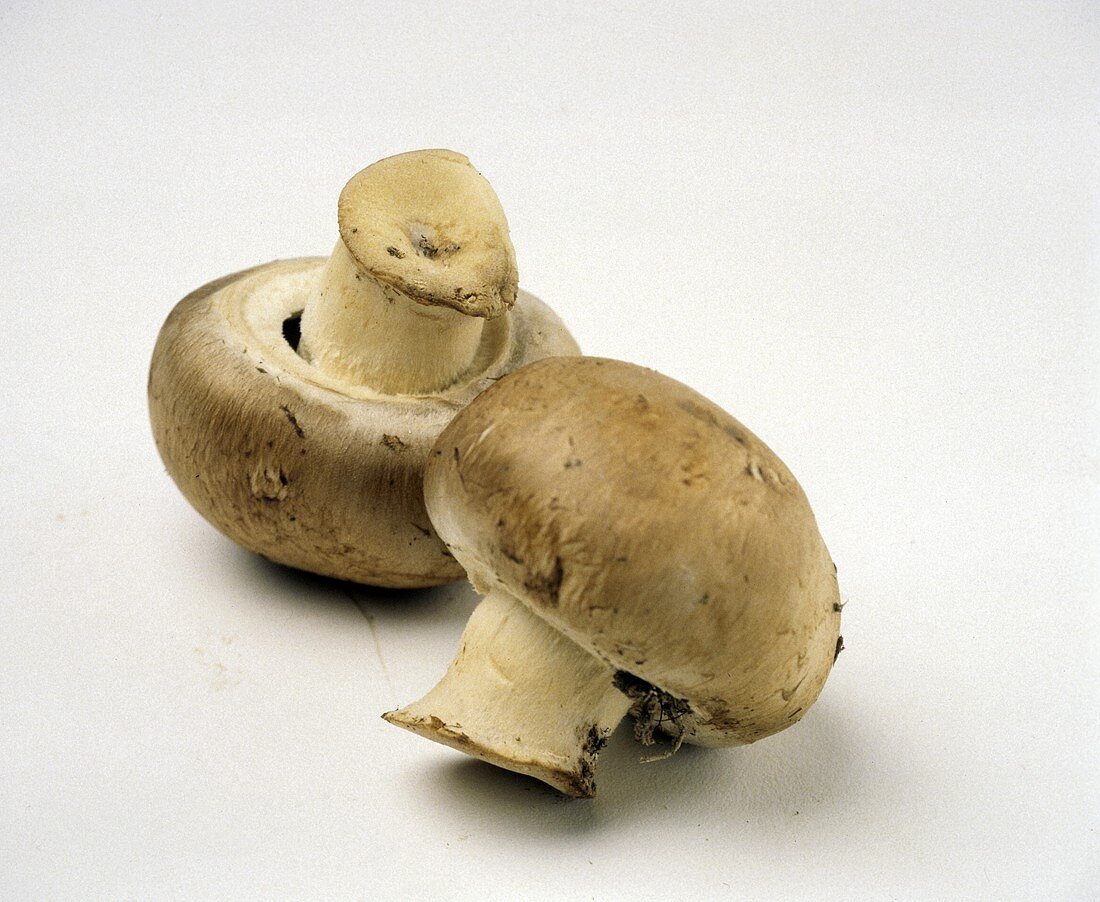 Two Crimini Mushrooms