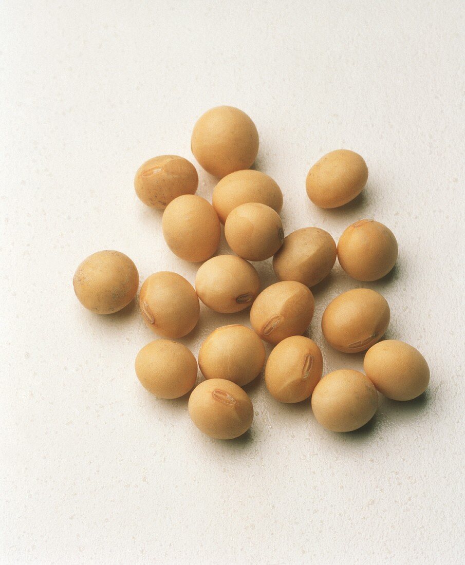 Still Life of Soybeans