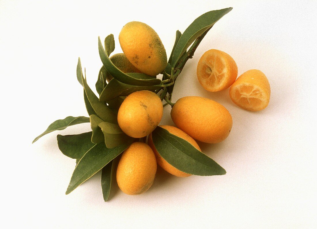 Kumquats mit Zweig und halbierte Kumquat