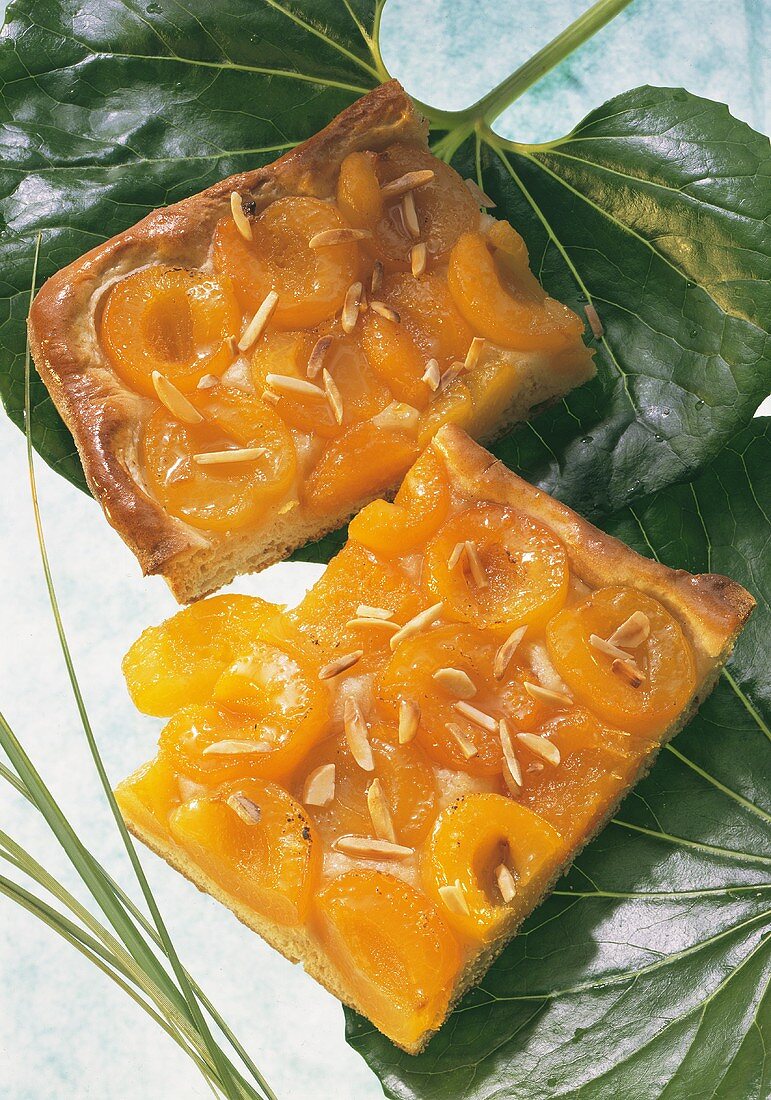 Mallorquinischer Aprikosenkuchen