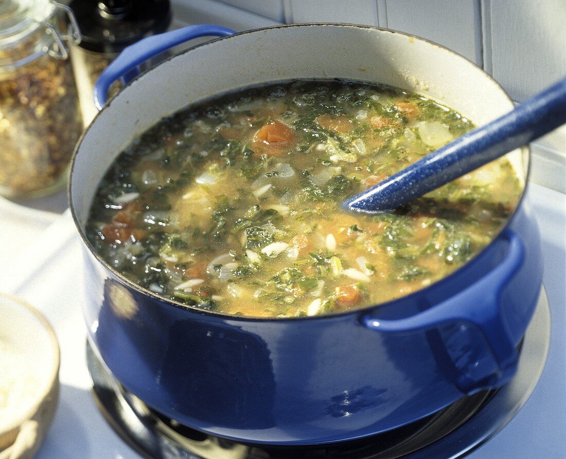 Kale Orzo and Sausage Soup in a Pot