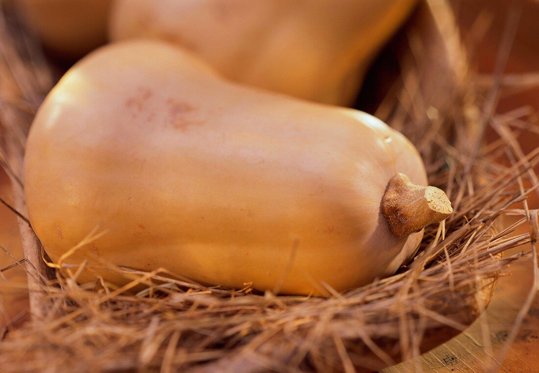 A Whole Butternut Squash on Hay