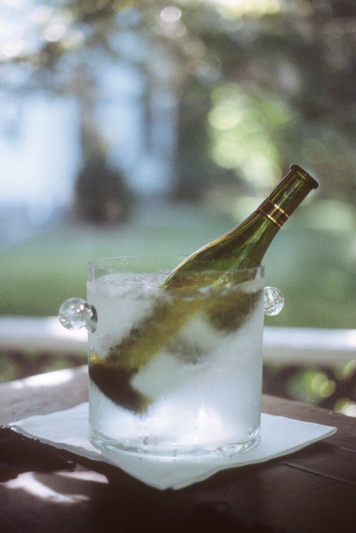 A Full Ice Bucket with a Bottle of Wine