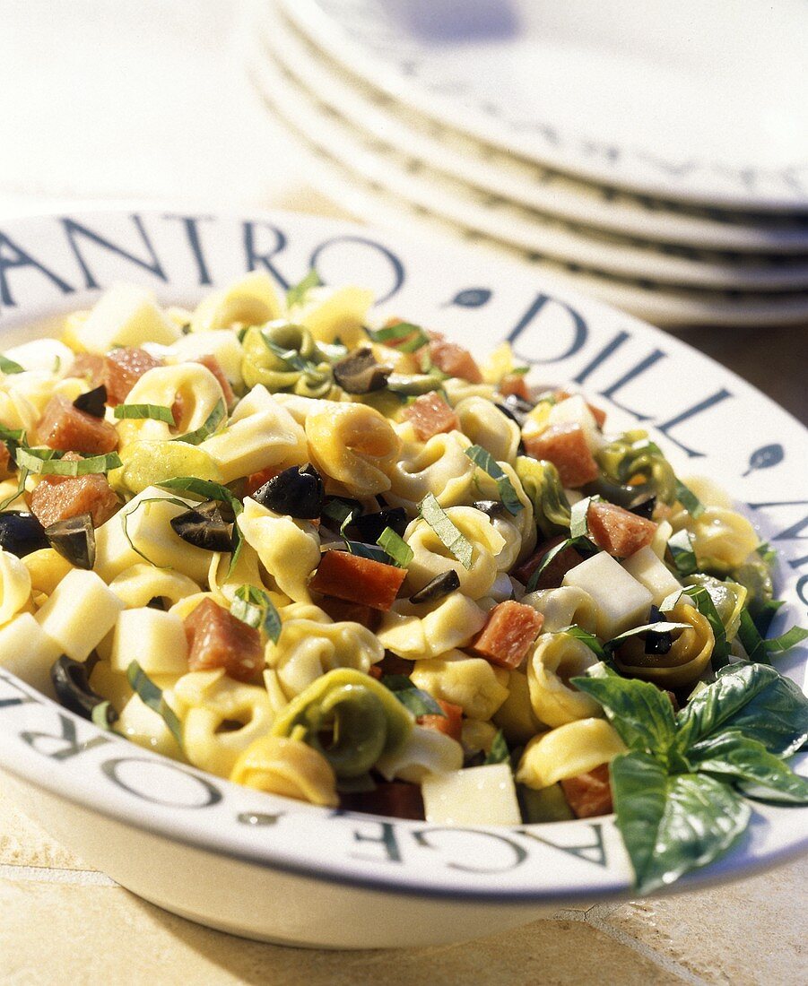 Tortellini-Salat mit Käse, Wurst und Oliven