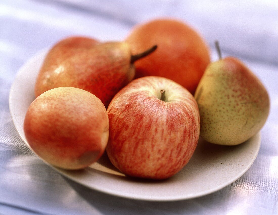 Äpfel, Birnen und Nektarine auf einem Teller