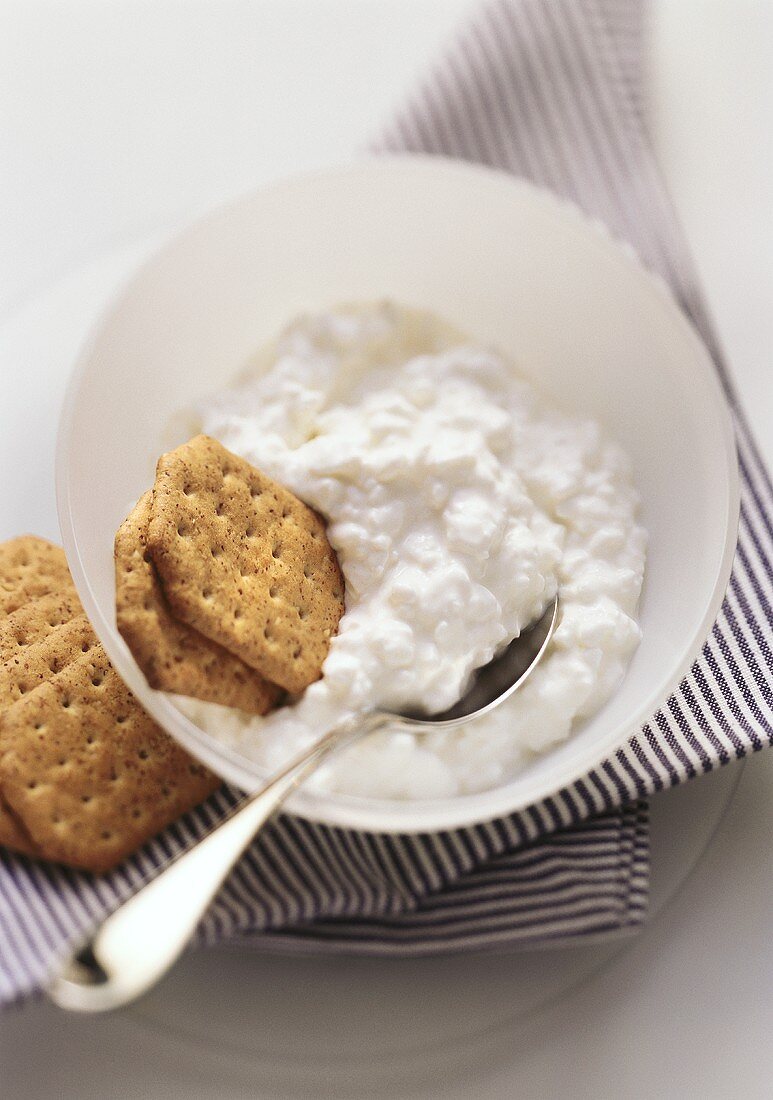 Cottage Cheese with Crackers and a Spoon in a Bowl
