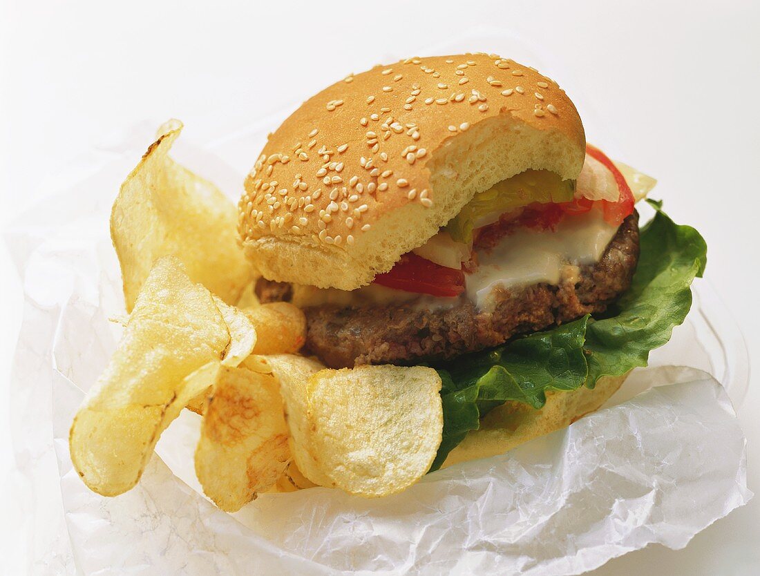 Cheeseburger That has Been Bitten