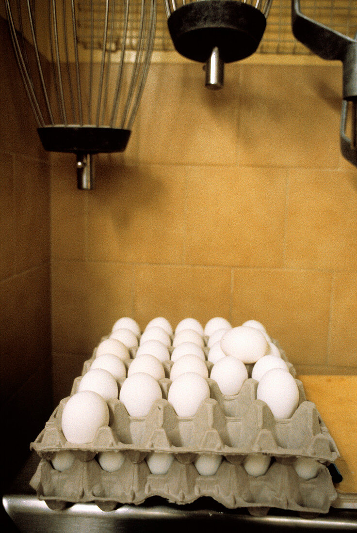 White Eggs in Cartons