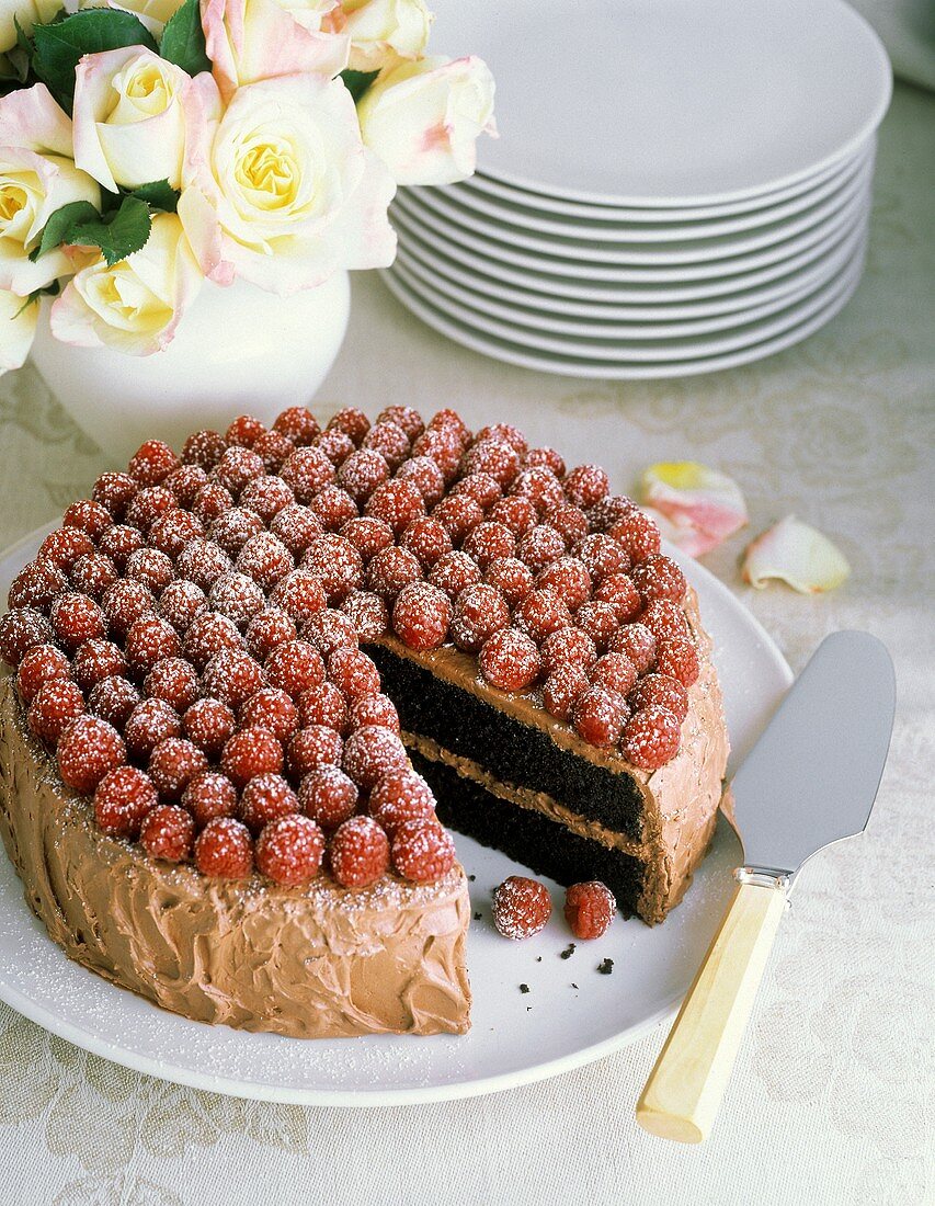 Schokoladen-Mohn-Torte mit Himbeeren