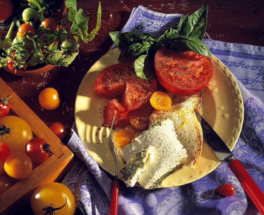 Tomatensalat mit Ziegenkäse, Brot und frischem Basilikum