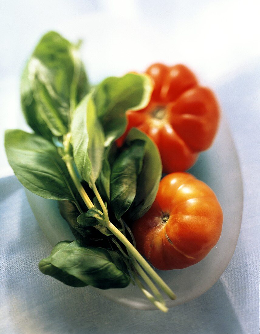 Frische Basilikumzweige & zwei Tomaten
