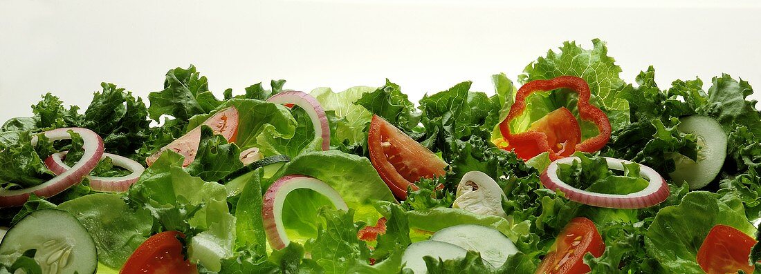 Blattsalat mit Gemüse