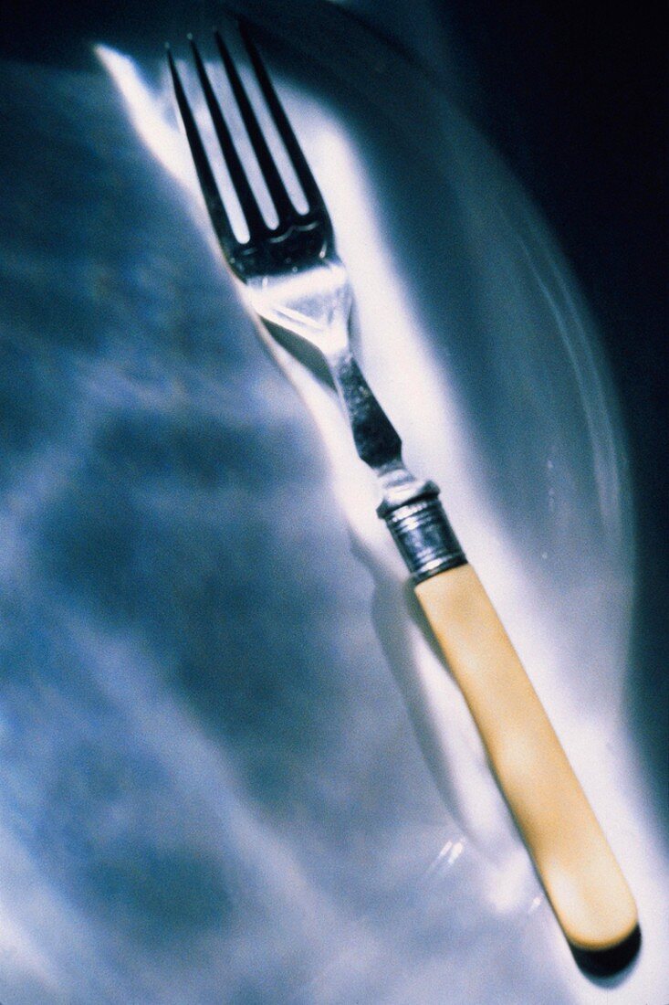 Bone Handle Fork
