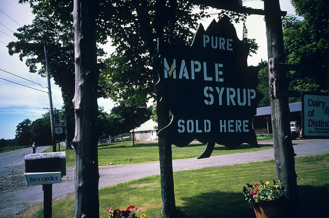 Schild der River Maple Farm (Verkauf von Ahornsirup)