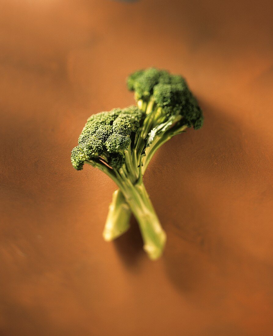 Zwei Broccoliröschen, übereinandergelegt