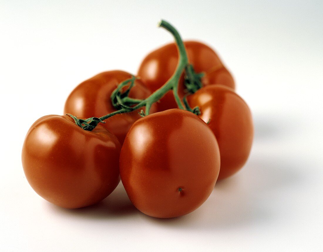 Fünf Tomaten am Stiel