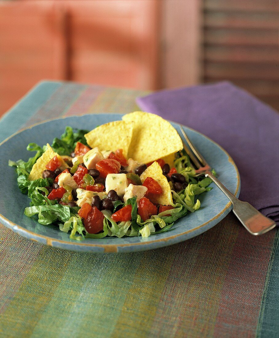 A Serving of Southwestern Salad with Tortilla Chips