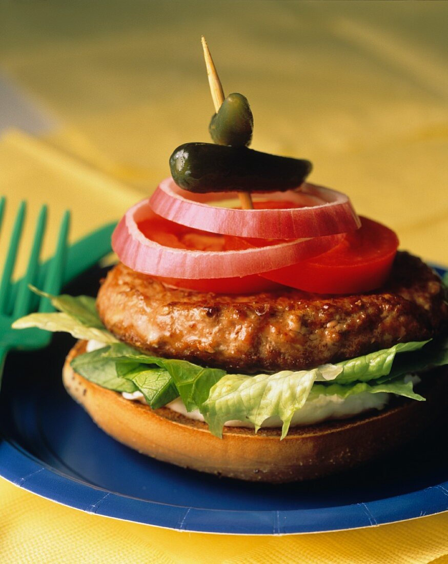 Hamburger with Tomato Onion and a Pickle