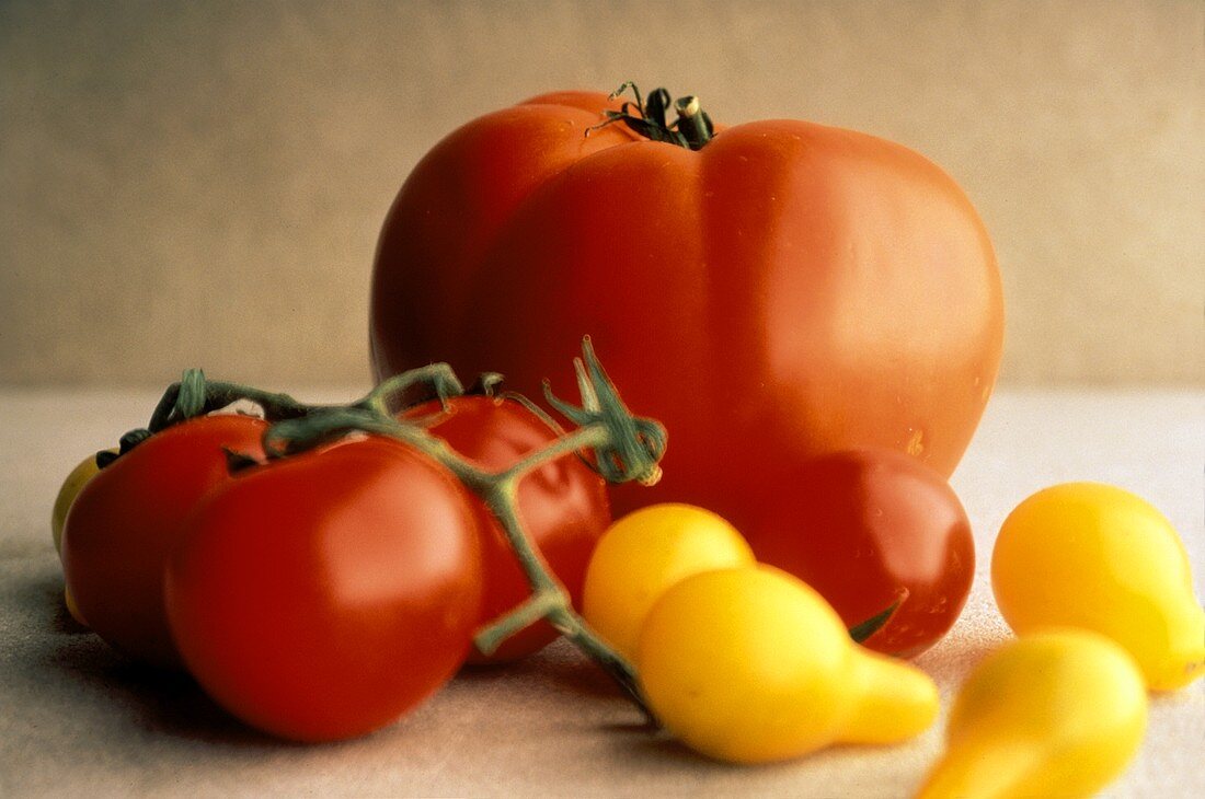 Stillleben mit Fleischtomate, Rispentomaten und gelben Tomaten