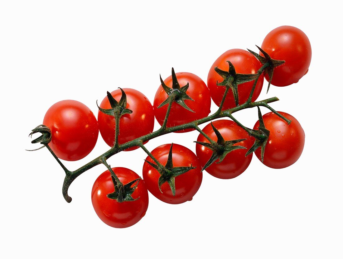 Tomatoes Connected by the Vine; Stems