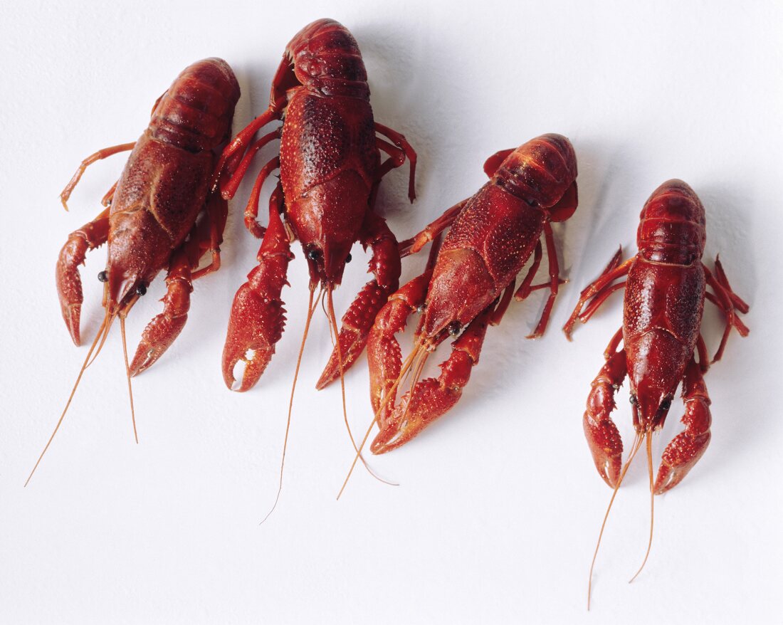 Four Cooked Crayfish