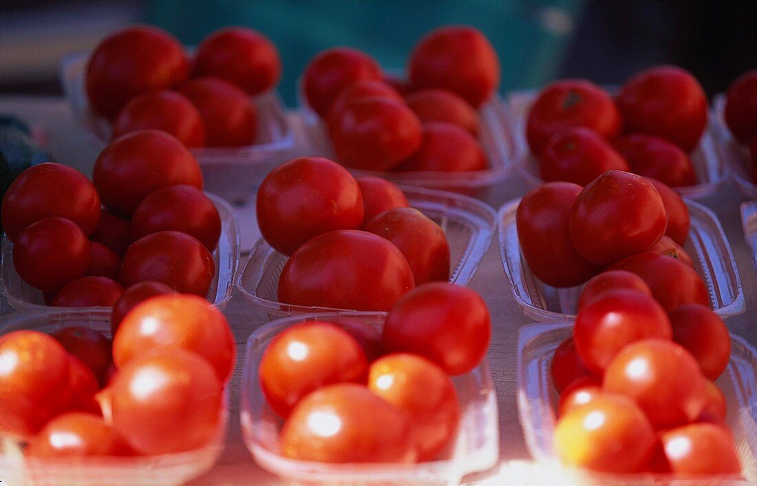 Tomaten in Plastikschälchen auf dem Markt
