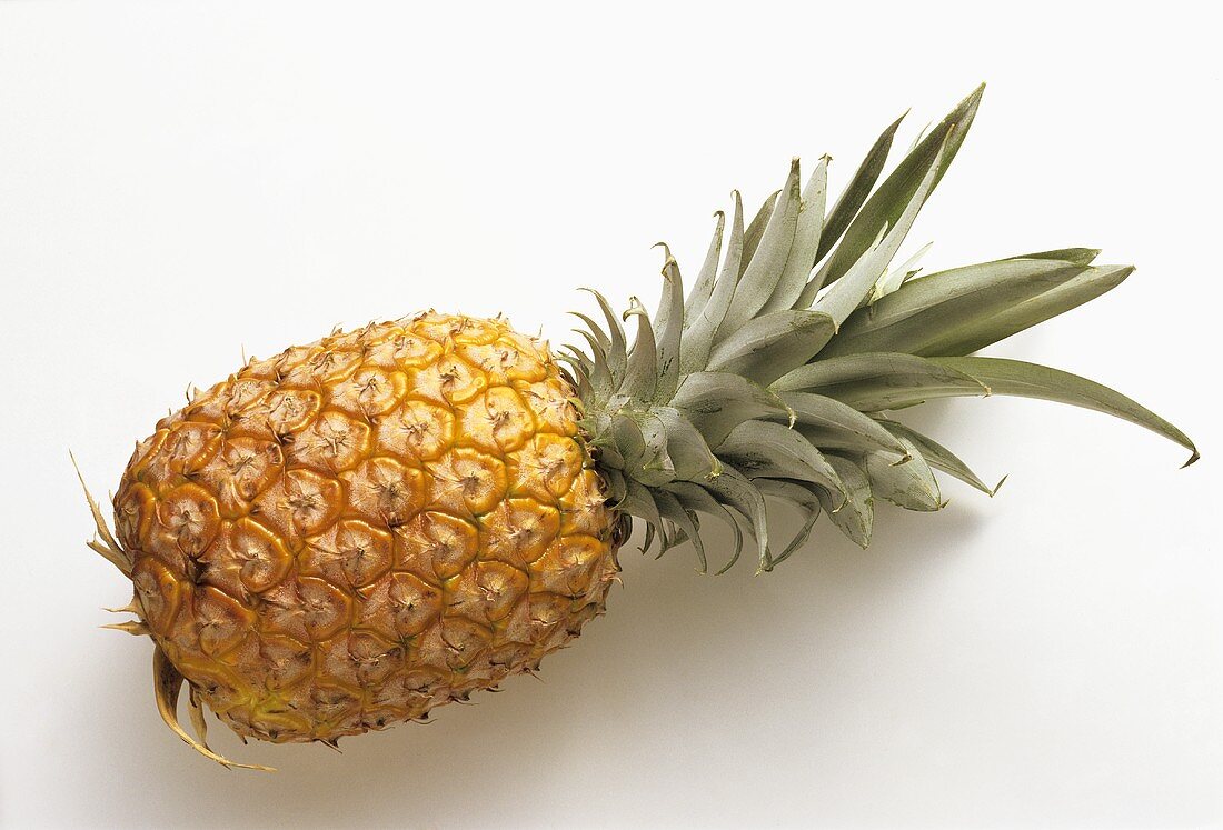 A Single Pineapple