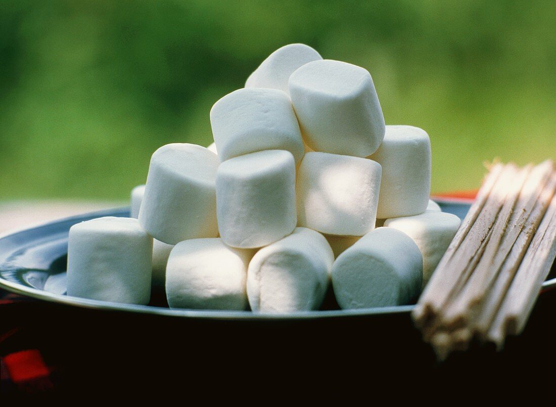 Marshmallows auf einem Teller mit Holzspiesschen