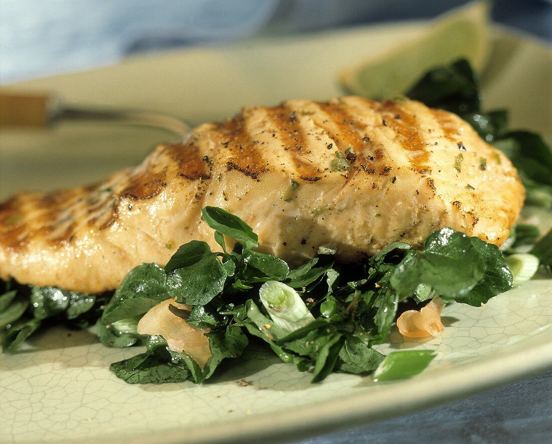 Grilled Salmon Over Watercress Salad