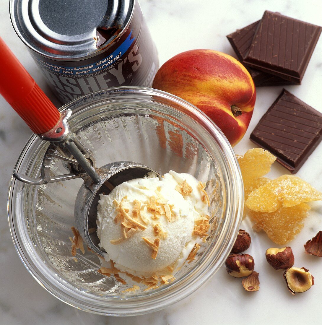 A Scoop of Vanilla Ice Cream in a Bowl; Sundae Toppings
