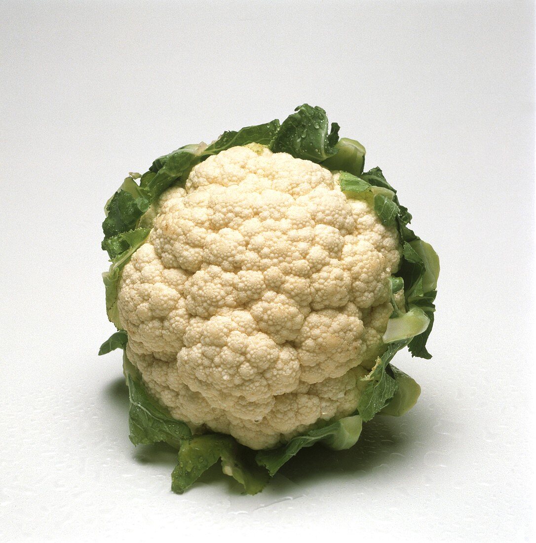 A Head of Cauliflower