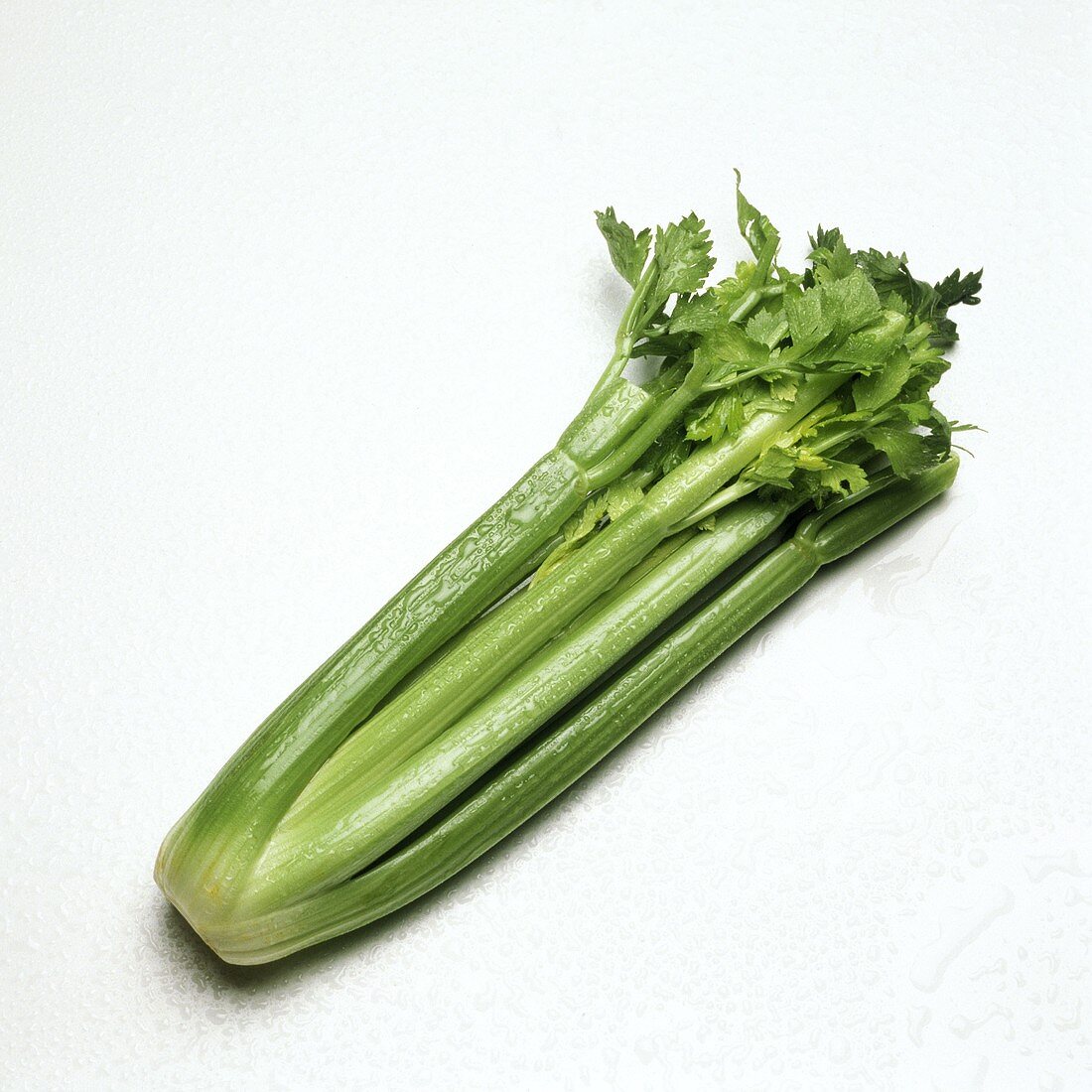 Celery Bunch