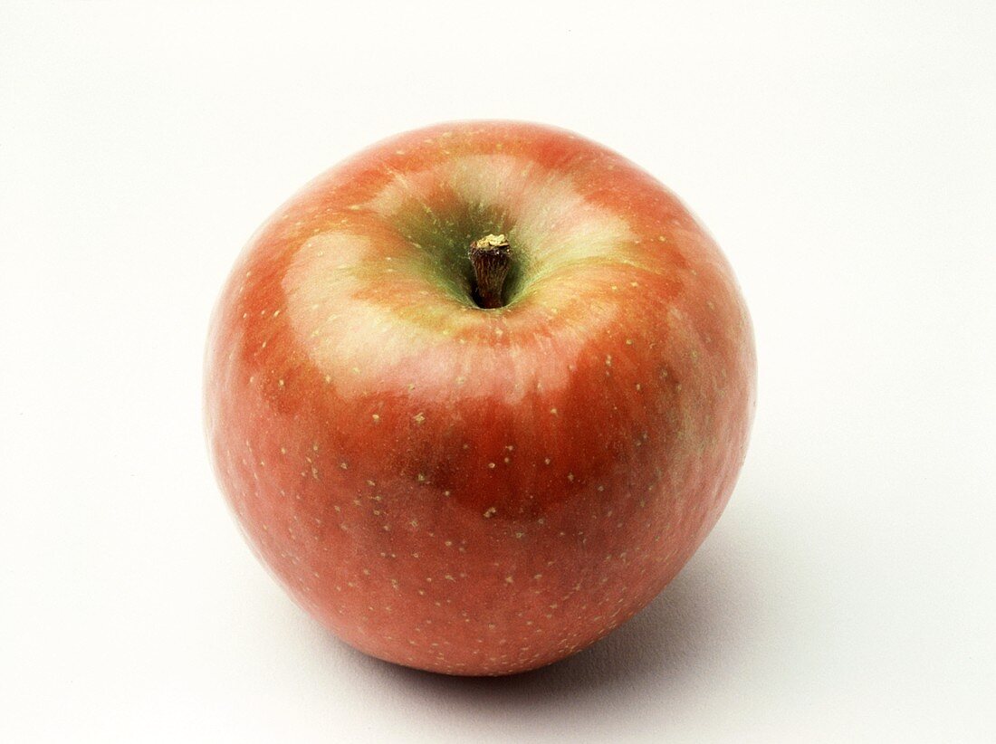 A Single Fuji Apple