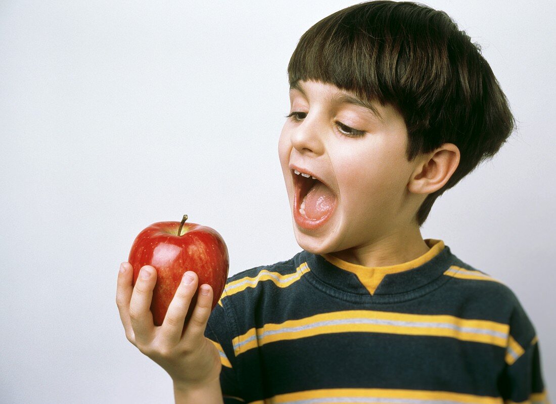 Kleiner Junge will in einen Red Delicious Apfel beissen
