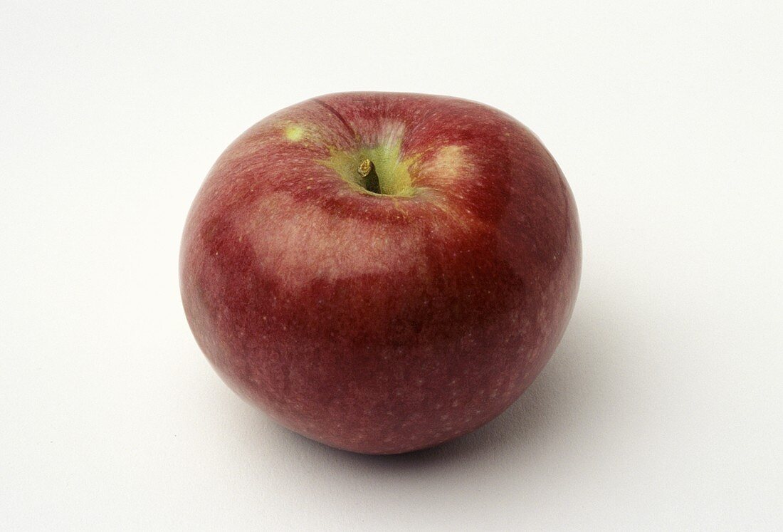 A Single Macoun Apple