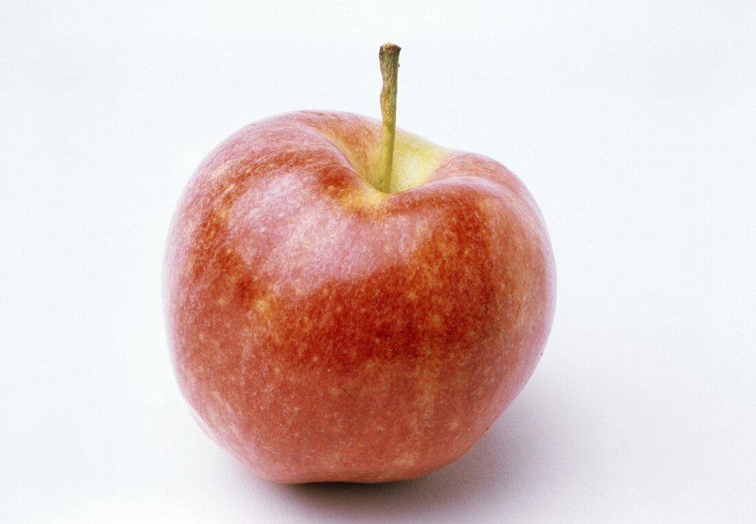 A Gala Apple