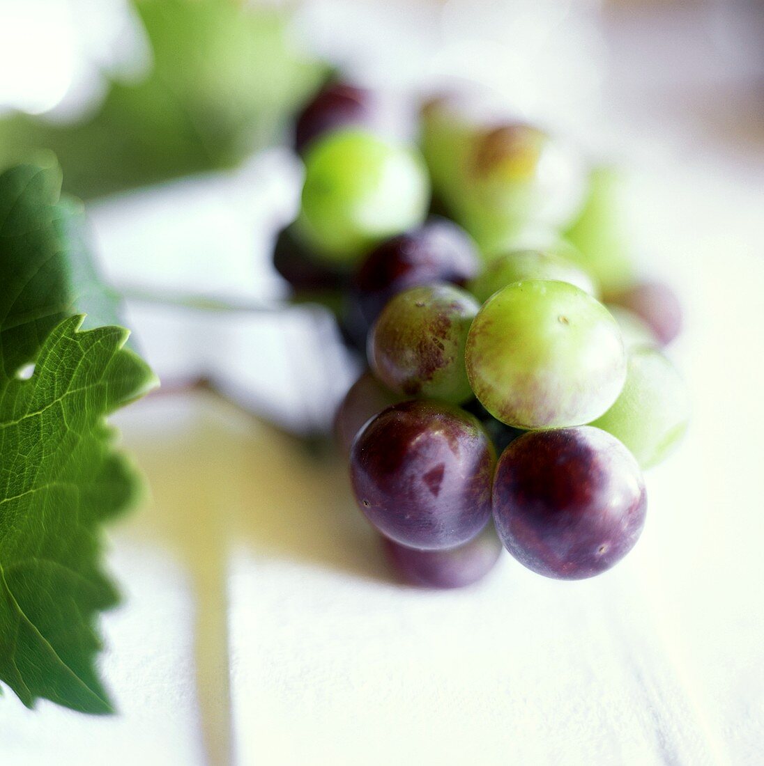 Red and Green Grapes