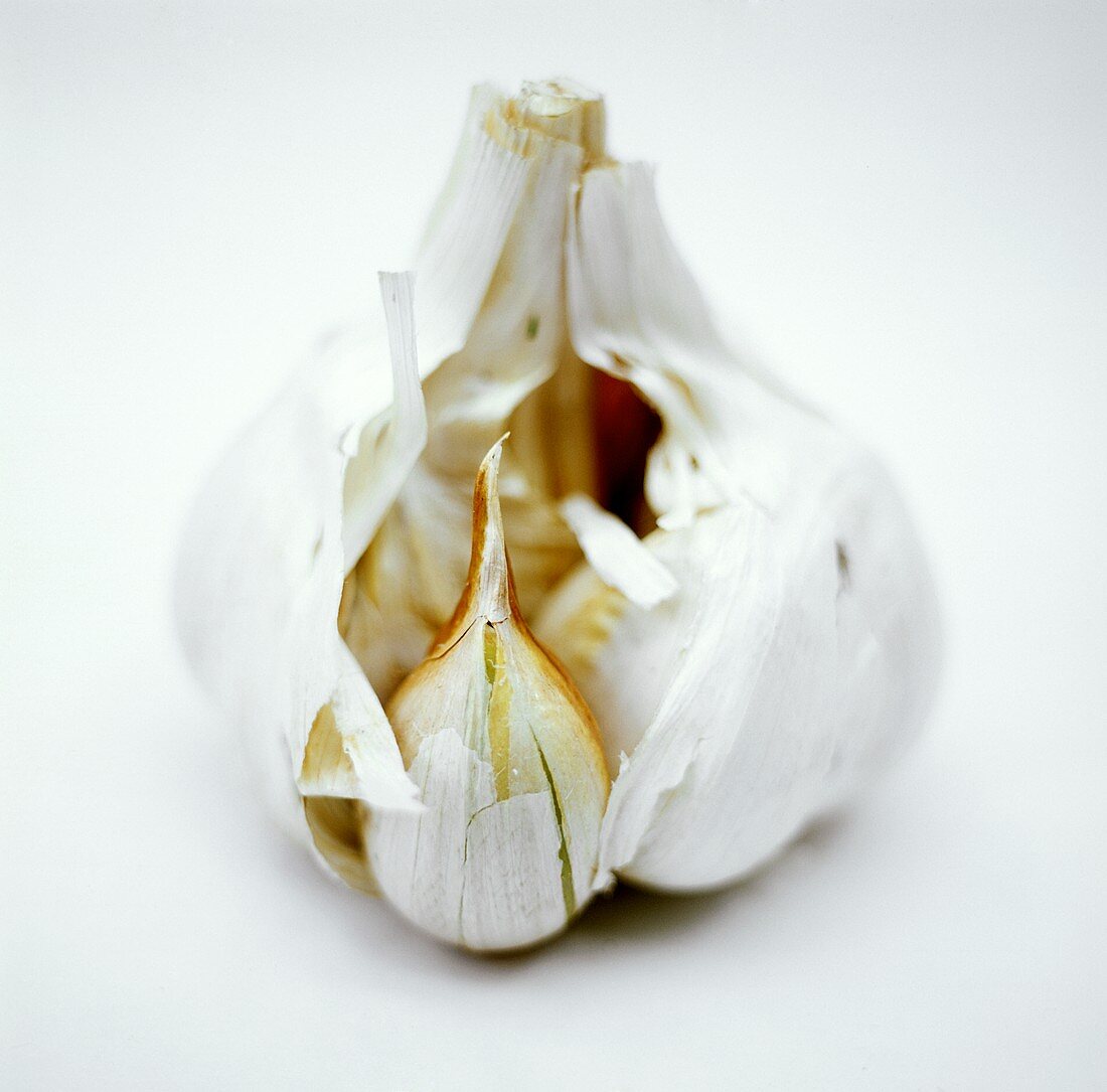 A Clove of Garlic Coming out of a Bulb