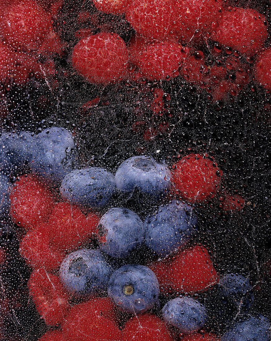 Fresh berries under a sheet of glass
