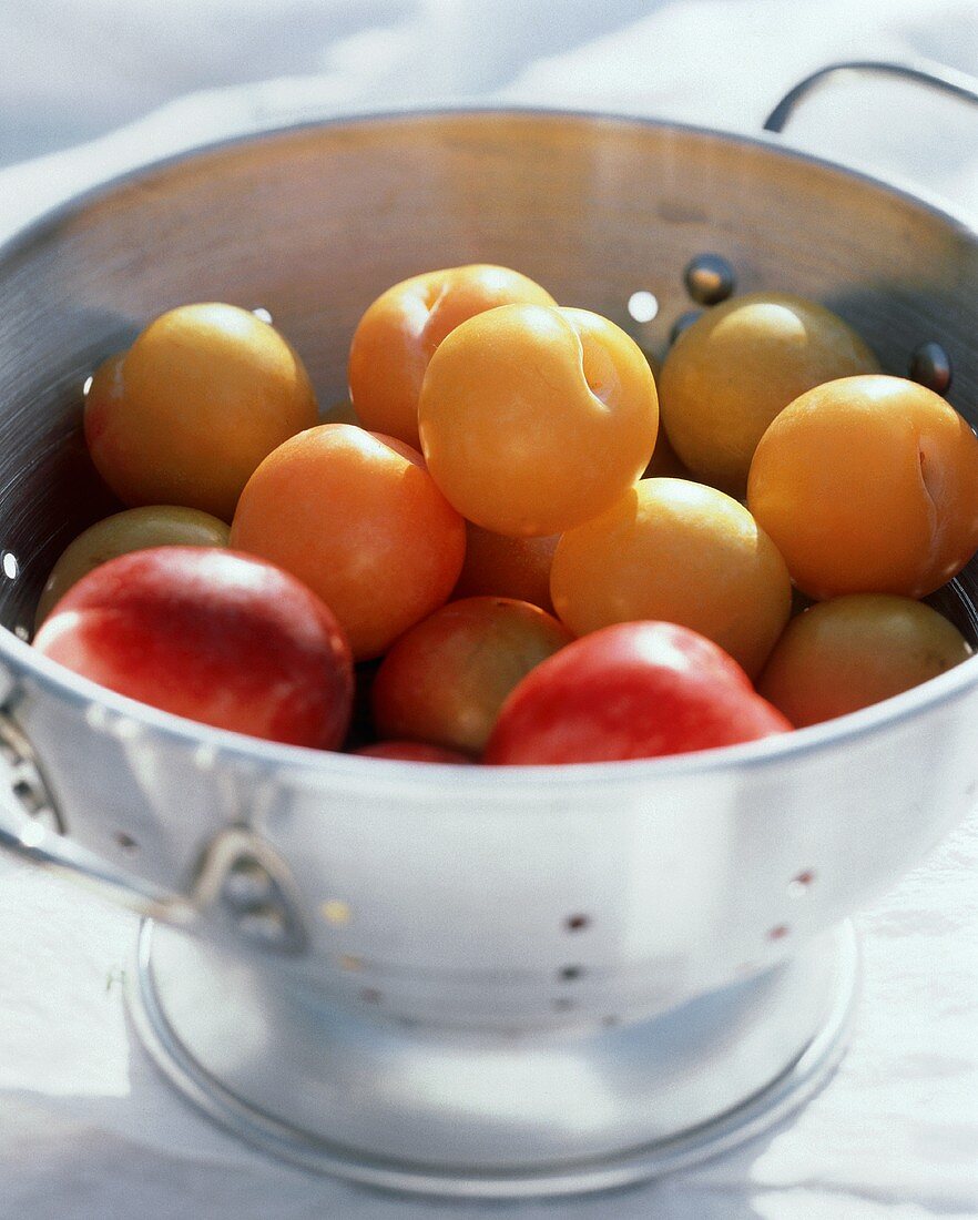 Apricots in a Collander