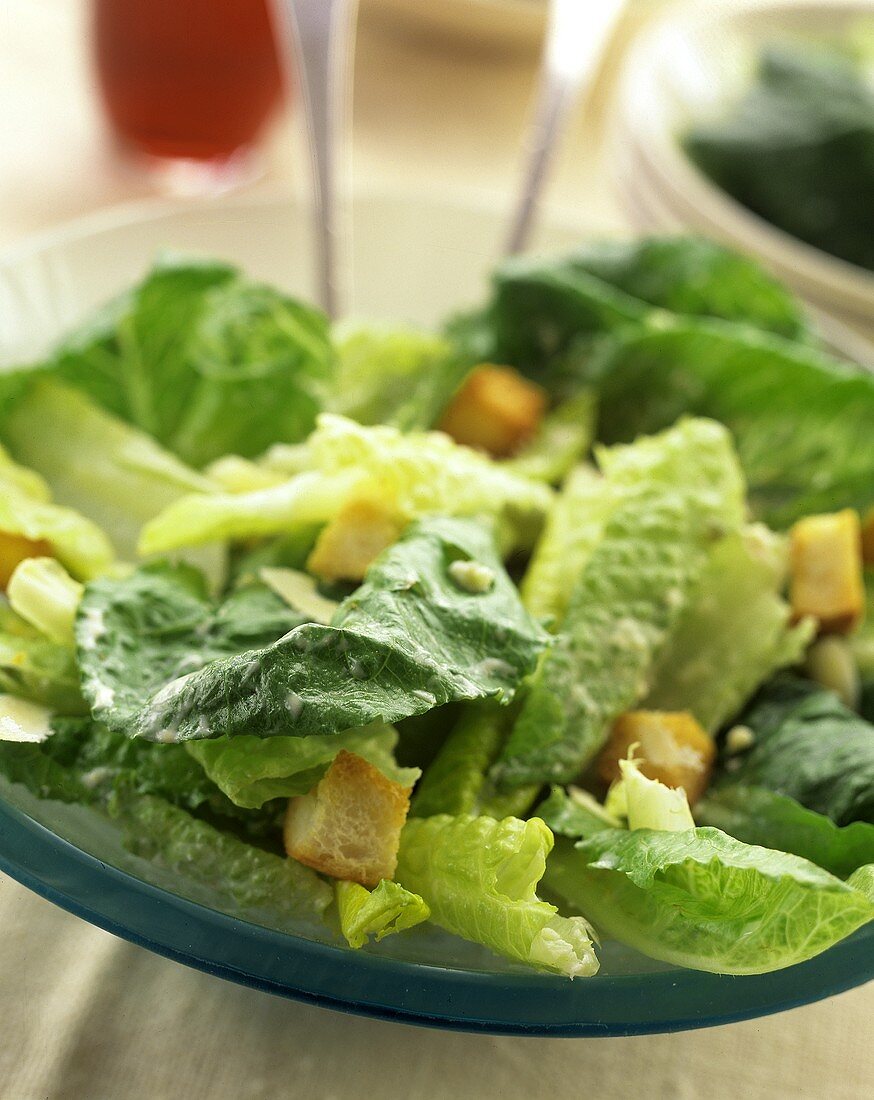 Caesar Salad mit Croûtons