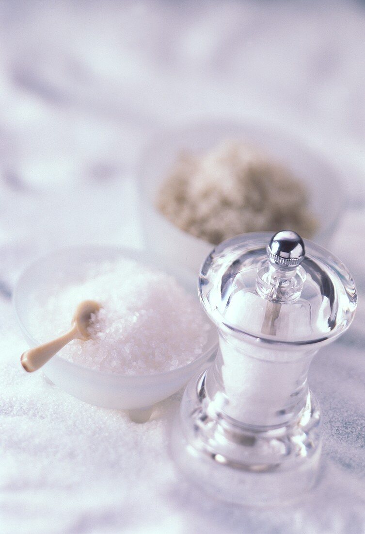 Salz in Salzstreuer und Schälchen