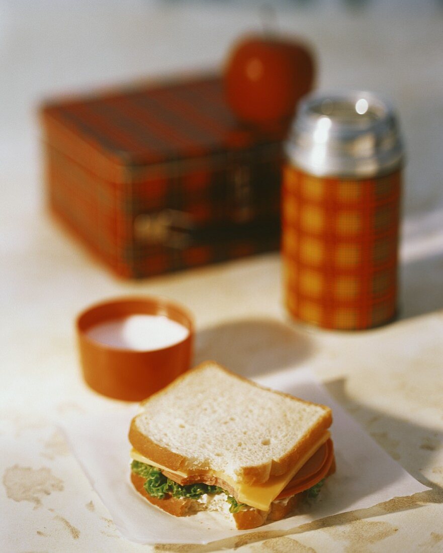 Wurst-Käse-Sandwich; Lunchbox; Thermosflasche
