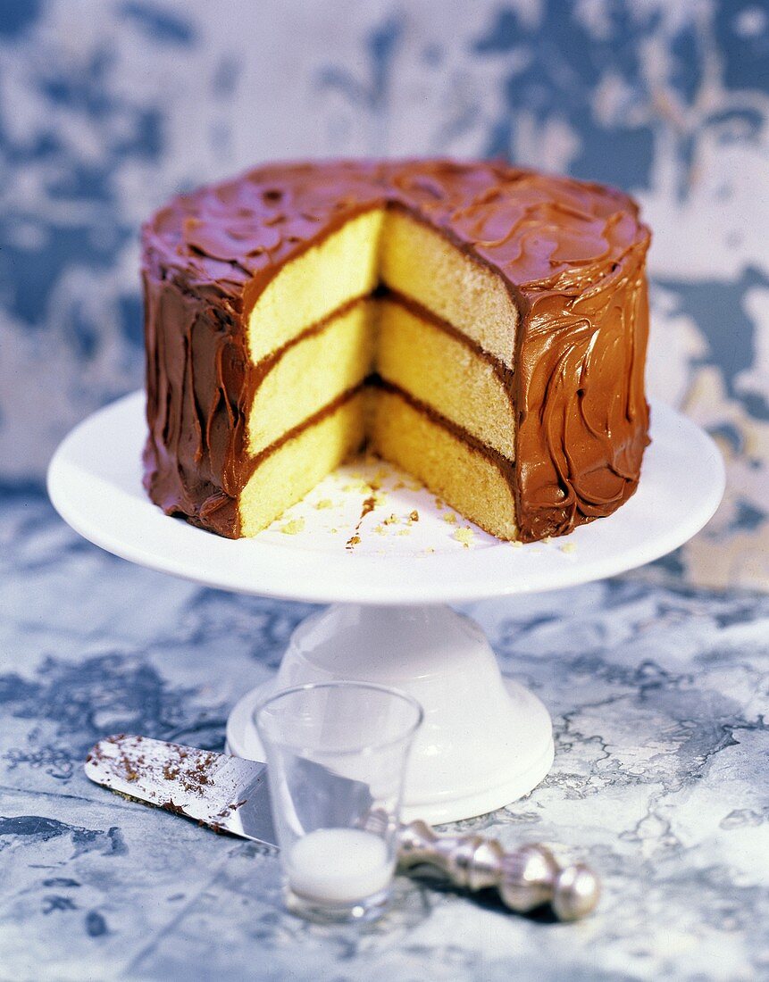 Sliced Triple Layer Cake with Chocolate Icing