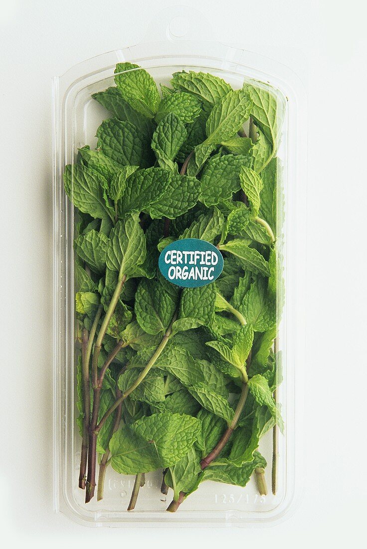 Organic Peppermint in Plastic Container