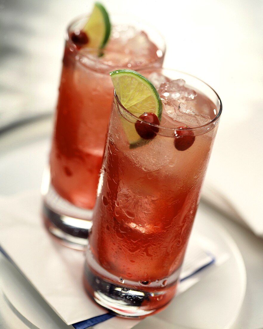 Cocktails mit Wodka und Cranberries (Seabreeze)