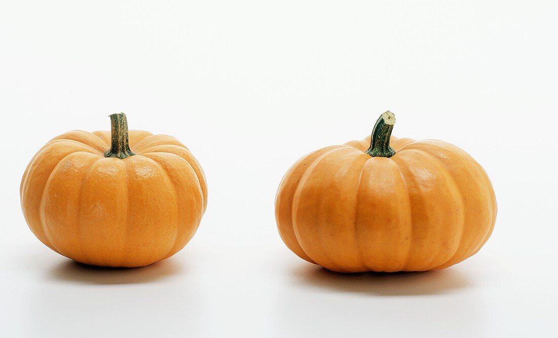 Two mini-pumpkins